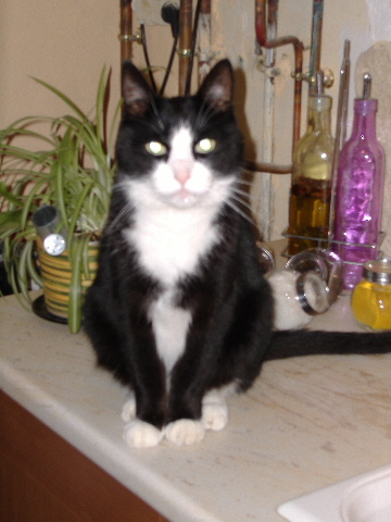 mon figaro